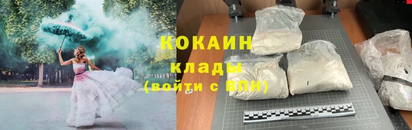 шишки Балабаново