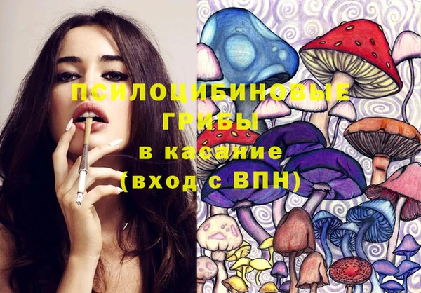шишки Балабаново