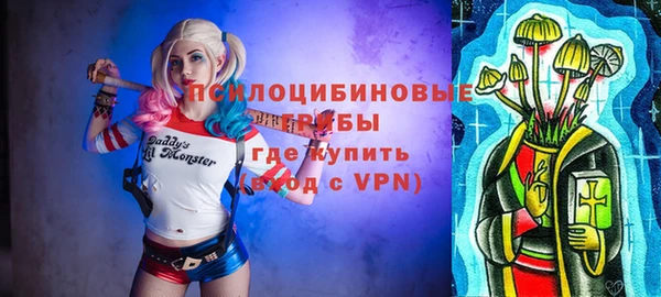 шишки Балабаново