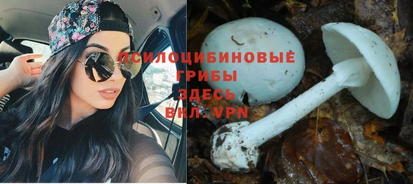 СК Баксан