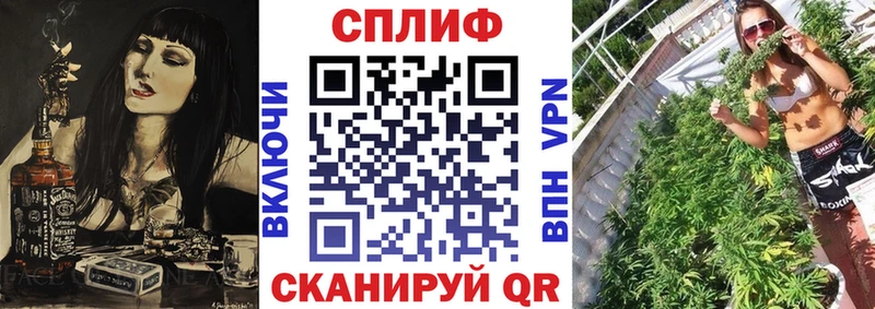 Марихуана Amnesia  Высоцк 